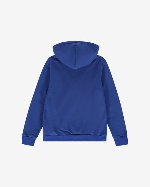 CARL4106 Hooded Sweatshirt