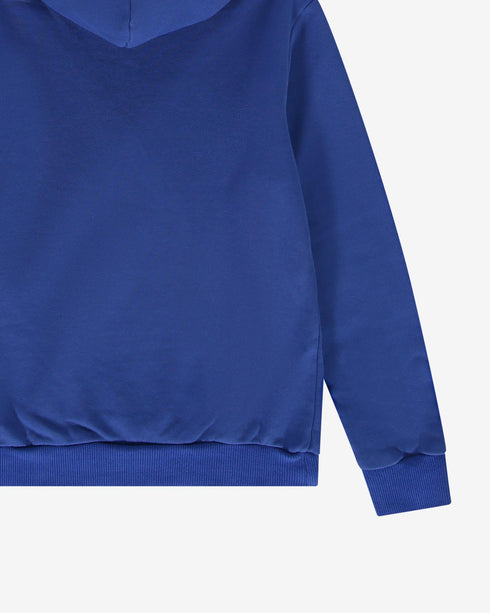 CARL4106 Hooded Sweatshirt