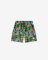 DYLANF7101 Swimshorts