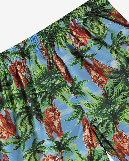 DYLANF7101 Swimshorts